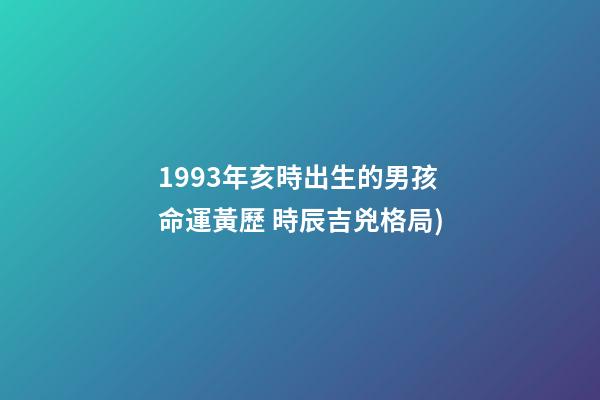 1993年亥時出生的男孩命運(2018年01月03日(農歷十一月十七日)黃歷 時辰吉兇格局)-第1張-觀點-玄機派